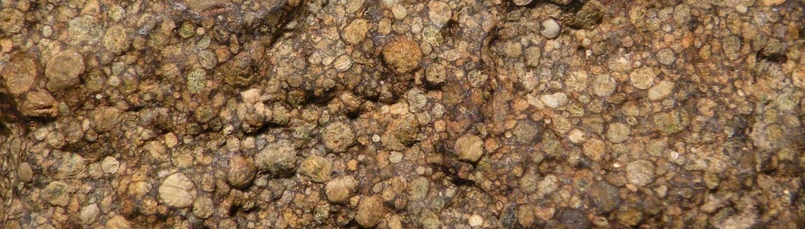 unequilibrated chondrite