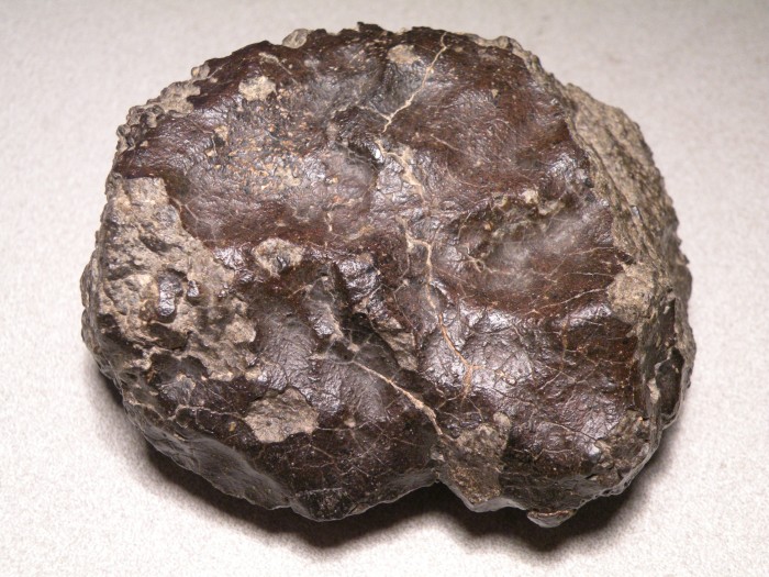 NWA 2482, polymict eucrite - Meteorite Gallery