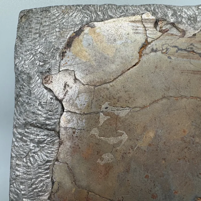 Central Missouri Meteorite Ainsworth